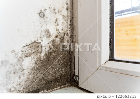 The wall near the window is covered with black fungus. The plastic window is attacked by fungus. The problem of dampness in the house 122663215
