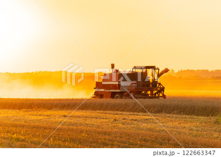 Agricultural harvester harvesting in the field at sunset. A combine harvester works on a field at sunset. Agricultural landscape Agricultural harvester harvesting in the field at sunset. A combine harvester works on a field at sunset. Agricultural landscape 122663347