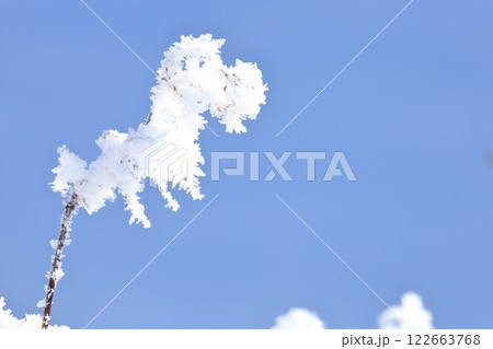 青空と樹氷 霧氷 コピースペースが大きめ 青空と樹氷 霧氷 コピースペースが大きめ 122663768