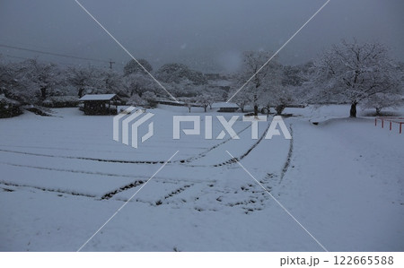 金立公園冬景色 金立公園冬景色 122665588