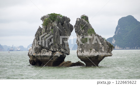 ベトナム、ハロン湾　闘鶏岩　2024年5月 122665622