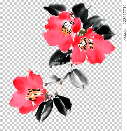 水墨技法で描いた椿 水墨技法で描いた椿 122665750