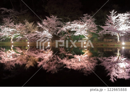 【長野県】臥竜公園の夜桜 122665888