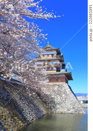 【長野県】快晴の高島城と満開の桜 122665891
