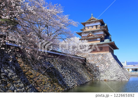 【長野県】快晴の高島城と満開の桜 122665892