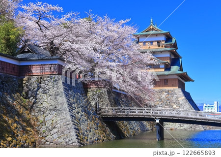 【長野県】快晴の高島城と満開の桜 122665893