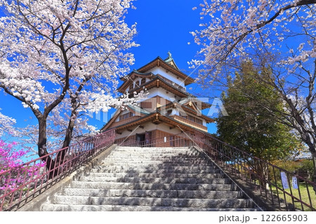 【長野県】快晴の高島城と満開の桜 【長野県】快晴の高島城と満開の桜 122665903