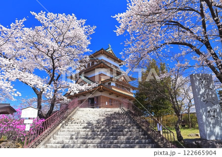 【長野県】快晴の高島城と満開の桜 122665904