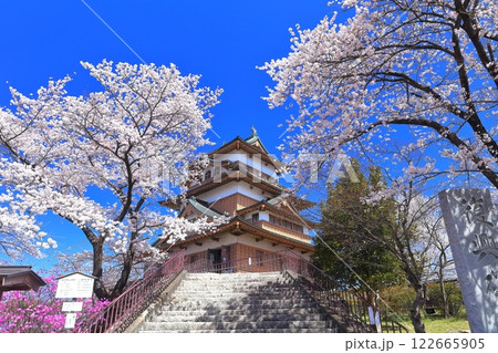 【長野県】快晴の高島城と満開の桜 122665905