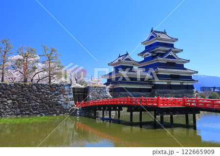 【長野県】桜満開の松本城（大天守と乾小天守） 122665909