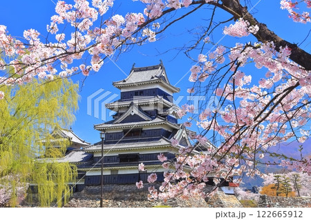 【長野県】桜満開の松本城(大天守と乾小天守) 【長野県】桜満開の松本城(大天守と乾小天守) 122665912