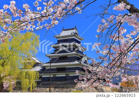 【長野県】桜満開の松本城(大天守と乾小天守) 【長野県】桜満開の松本城(大天守と乾小天守) 122665913