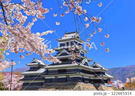 【長野県】桜満開の松本城（大天守と乾小天守と月見櫓） 122665914