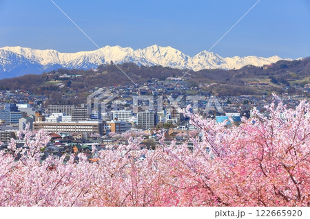 【長野県】快晴の弘法山古墳の満開の桜と北アルプス 【長野県】快晴の弘法山古墳の満開の桜と北アルプス 122665920
