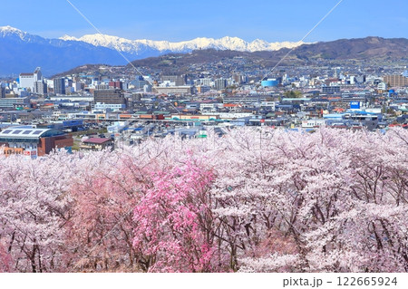 【長野県】快晴の弘法山古墳の満開の桜と北アルプス 【長野県】快晴の弘法山古墳の満開の桜と北アルプス 122665924