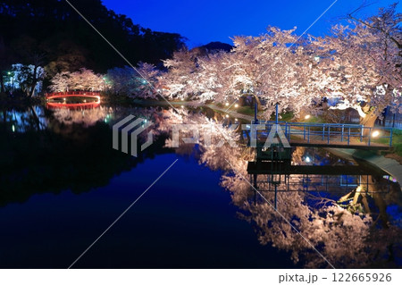 【長野県】臥竜公園の夜桜 122665926