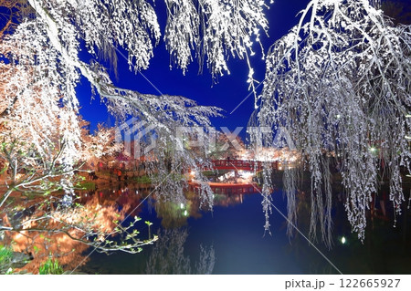 【長野県】臥竜公園の夜桜 122665927