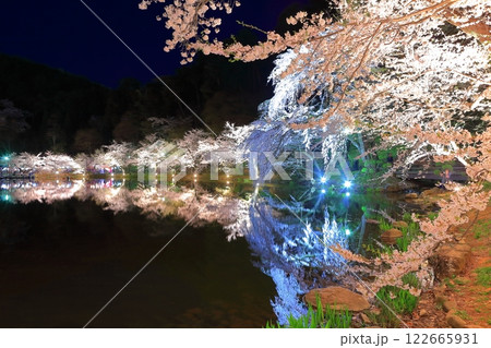 【長野県】臥竜公園の夜桜 122665931
