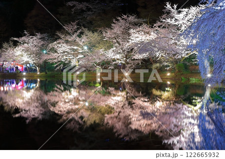 【長野県】臥竜公園の夜桜 【長野県】臥竜公園の夜桜 122665932
