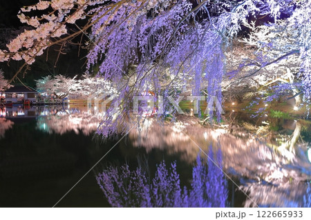 【長野県】臥竜公園の夜桜 122665933