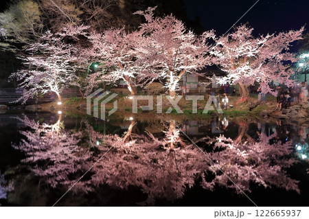 【長野県】臥竜公園の夜桜 122665937