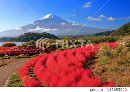 【山梨県】晴天の富士山と大石公園の紅葉コキア 122665940