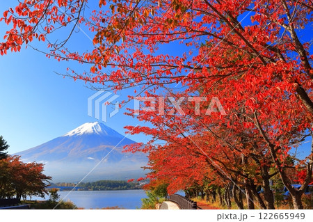 【山梨県】快晴の富士山と河口湖の紅葉 122665949