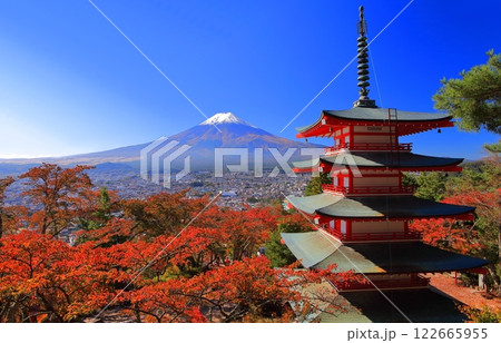 【山梨県】快晴の富士山と新倉山浅間公園の五重塔と紅葉(新倉富士浅間神社) 【山梨県】快晴の富士山と新倉山浅間公園の五重塔と紅葉(新倉富士浅間神社) 122665955