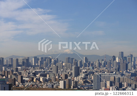 船堀タワーからみる都心のビル群と東京タワー、富士山 船堀タワーからみる都心のビル群と東京タワー、富士山 122666311