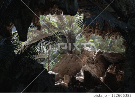 Looking out to see the green palm trees in natural light from The old limestone cave with stalactites and stalagmites. 122666382