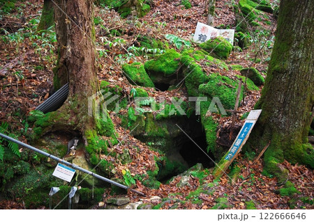 晩秋の遠野市　苔に囲まれた鍾乳洞の稲荷穴 122666646