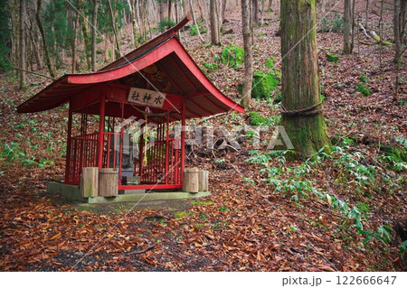 晩秋の遠野市 落葉に囲まれた水神社 晩秋の遠野市 落葉に囲まれた水神社 122666647
