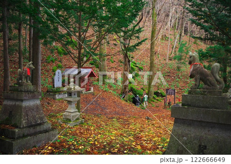 晩秋の遠野市　落葉に囲まれた狛犬越しに鍾乳洞の稲荷穴を望む 122666649