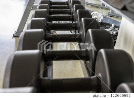 Perspective view of Black dumbbells on a rack in the fitness room. Perspective view of Black dumbbells on a rack in the fitness room. 122666693