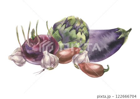 Fresh vegetables watercolor illustration with artichoke,eggplant, pepper, garlic and kohlrabi element. Hand drawn vegan food isolated clipart, organic eco food painting for label, logo, packing design 122666704
