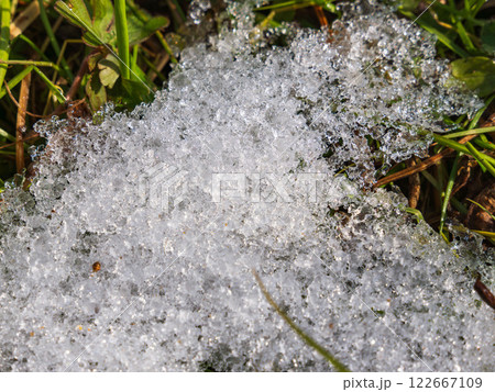 草の上の残雪が輝く05 122667109