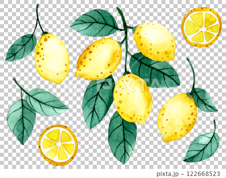 watercolor illustration, set of lemon fruits and leaves. cute drawing in cartoon style watercolor illustration, set of lemon fruits and leaves. cute drawing in cartoon style 122668523