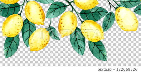 watercolor illustration, seamless border of lemon fruits and leaves. cute frame in cartoon style watercolor illustration, seamless border of lemon fruits and leaves. cute frame in cartoon style 122668526