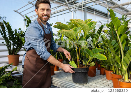 Man cultivating houseplants in greenhouse, replanting and potting flowers in flowerpots Man cultivating houseplants in greenhouse, replanting and potting flowers in flowerpots 122668820