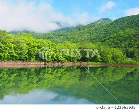 夏の黒姫山の古池 夏の黒姫山の古池 122668939