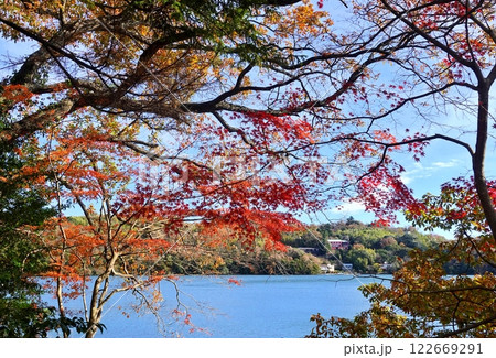 初冬の一碧湖スナップ 2024 初冬の一碧湖スナップ 2024 122669291