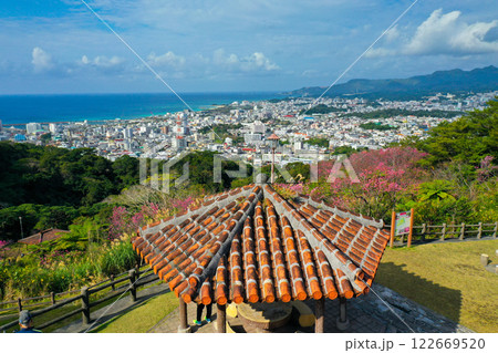 沖縄で1月に咲くサクラ 122669520