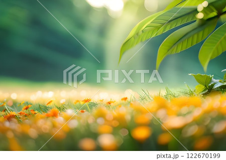 Field of yellow cosmos flower lower angle selective focus, blur foreground and background, good as nature backdrop. Field of yellow cosmos flower lower angle selective focus, blur foreground and background, good as nature backdrop. 122670199