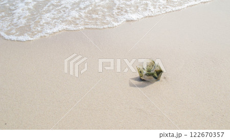 Polluted beach is filled with plastic waste. Environment damage with household waste. 122670357