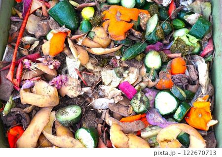 コンポスト 野菜くず 生ごみ 堆肥 分解 コンポスト 野菜くず 生ごみ 堆肥 分解 122670713