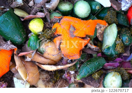 コンポスト 野菜くず 生ごみ 堆肥 分解 コンポスト 野菜くず 生ごみ 堆肥 分解 122670717