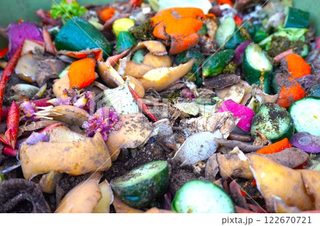 コンポスト 野菜くず 生ごみ 堆肥 分解 コンポスト 野菜くず 生ごみ 堆肥 分解 122670721