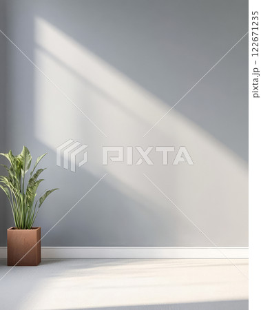 Bright indoor space with green plant casting shadows on light gray wall 122671235