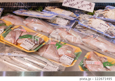 スーパー 魚 (プロパティリリース取得済み) スーパー 魚 (プロパティリリース取得済み) 122671495