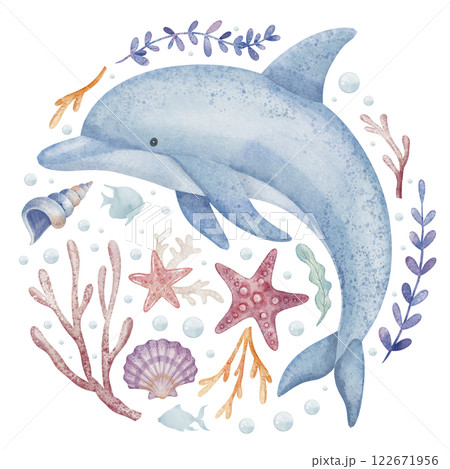Watercolor illustration of a Dolphin encircled by coral, bubbles, shells, and starfish. Drawing of underwater fish with nautical elements for childish posters or nursery wall art. Marine sketch. 122671956
